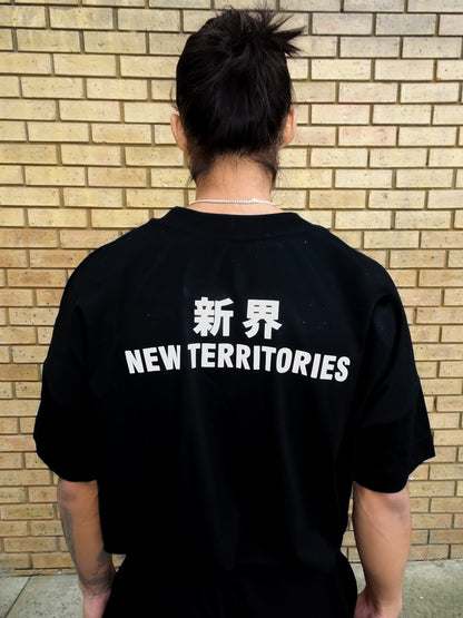NT010 NT OVERSIZE TEE [SMALL LOGO]