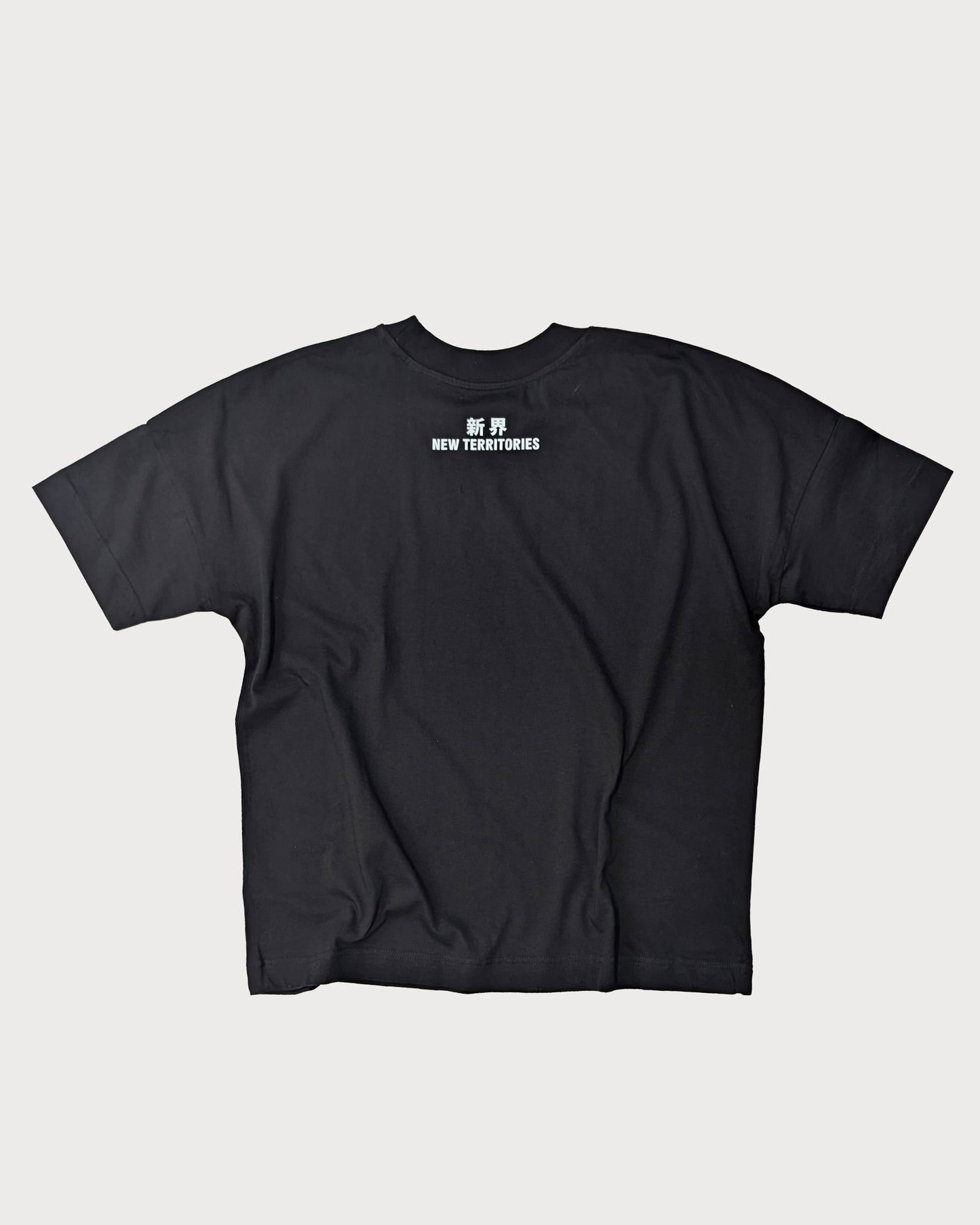 NT009 NT OVERSIZE TEE [BIG LOGO]