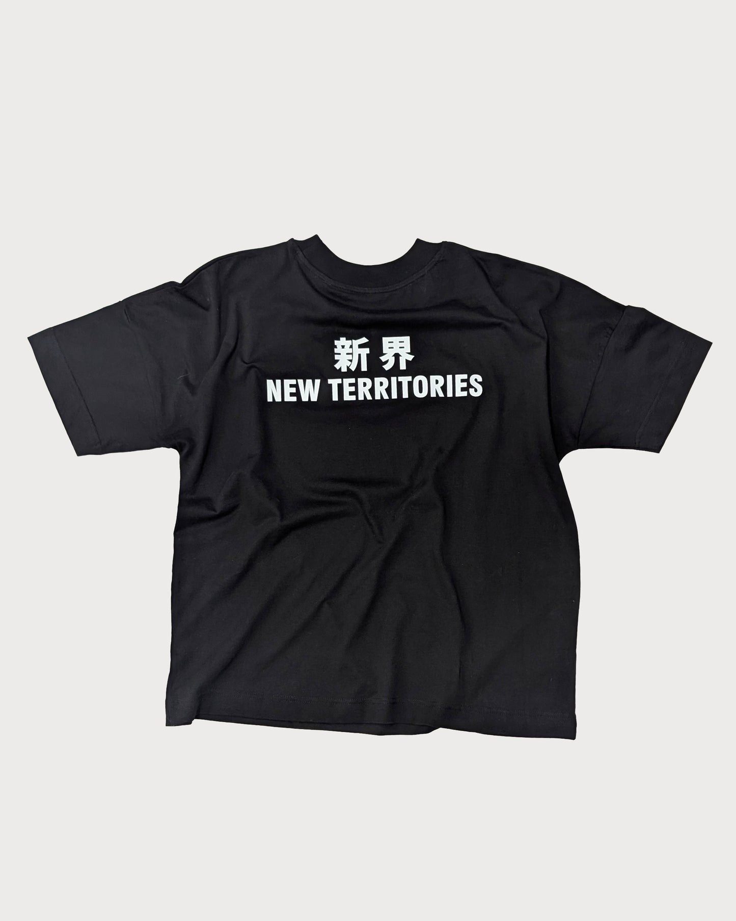 NT010 NT OVERSIZE TEE [SMALL LOGO]