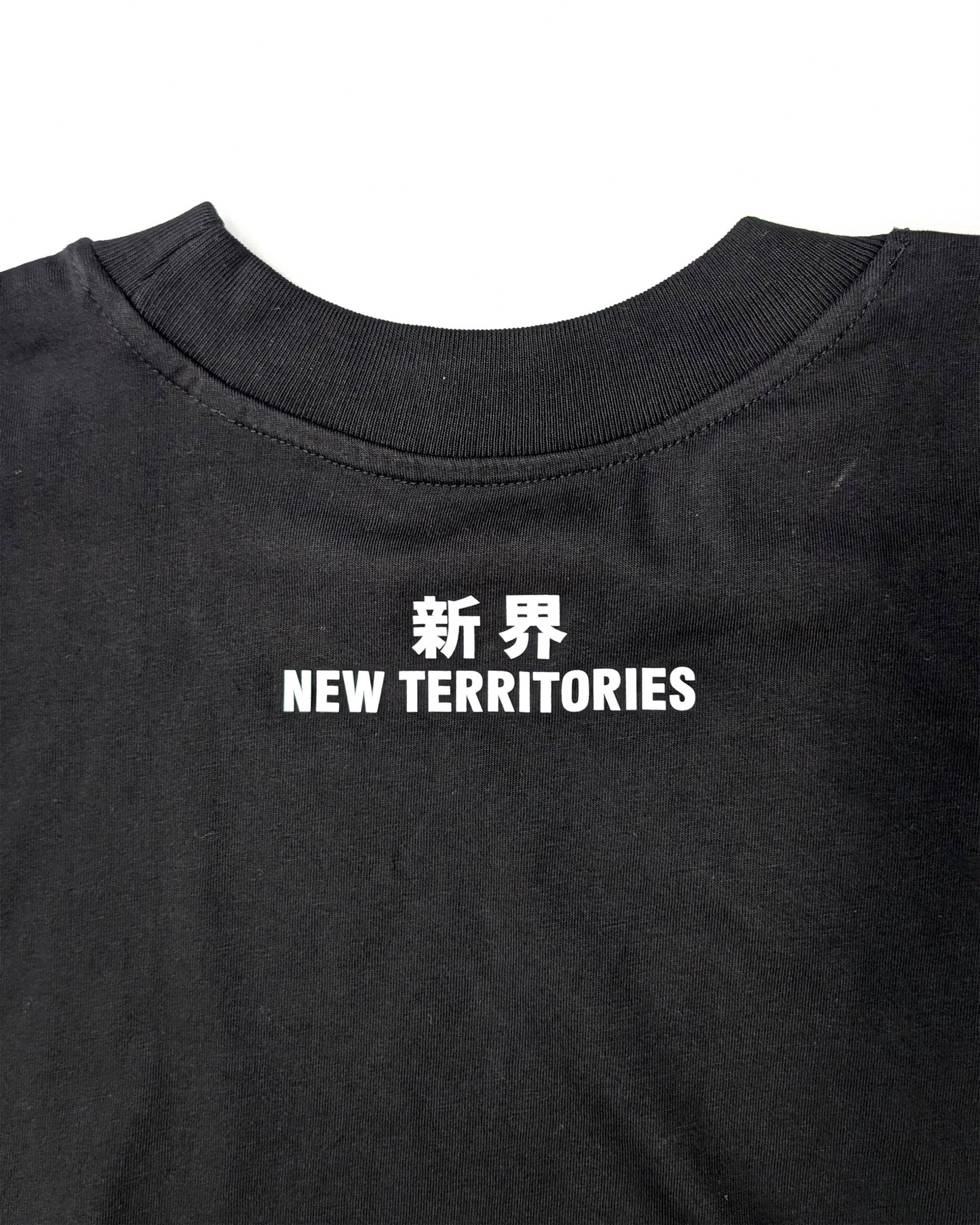 NT009 NT OVERSIZE TEE [BIG LOGO]