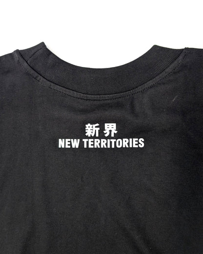 NT009 NT OVERSIZE TEE [BIG LOGO]