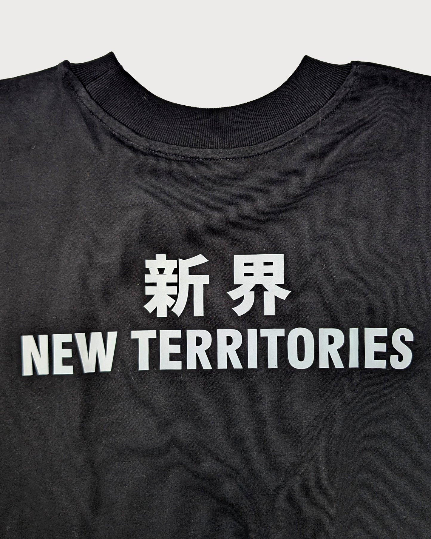 NT010 NT OVERSIZE TEE [SMALL LOGO]