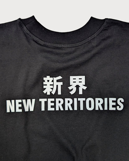 NT010 NT OVERSIZE TEE [SMALL LOGO]