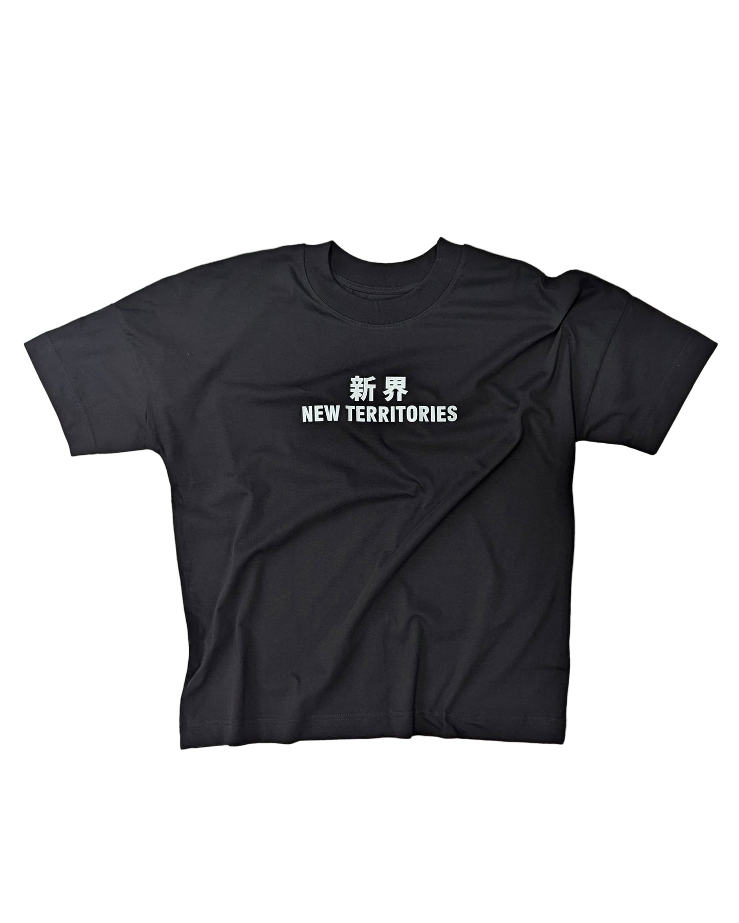 NT009 NT OVERSIZE TEE [BIG LOGO]