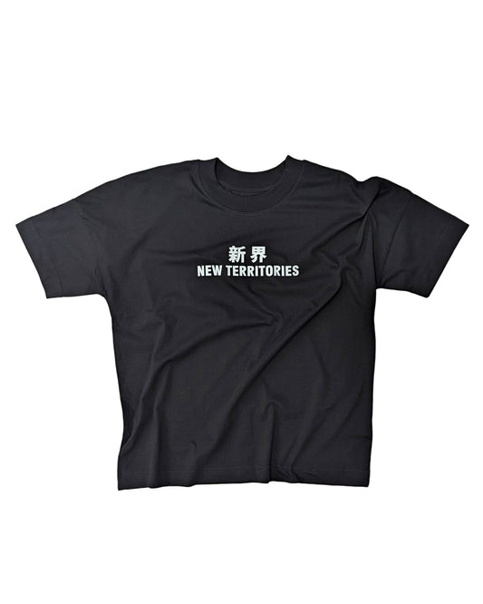 NT009 NT OVERSIZE TEE [BIG LOGO]