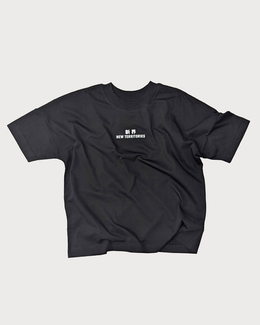NT010 NT OVERSIZE TEE [SMALL LOGO]